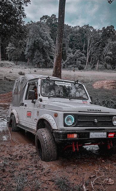 👀来真的么？土耳其记者：费内巴切已经正式报价梅西