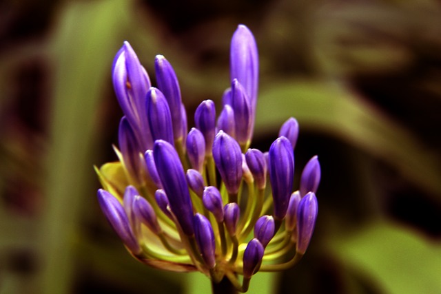 长盘决胜！法国杯惊现22轮点球大战，贝蒂讷21-20取胜晋级