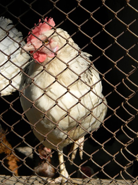 弗里克：控球率再高也没用，最后能赢球才最重要